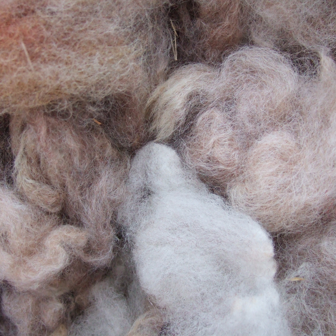 Одеяло Караван