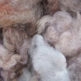 Одеяло Караван