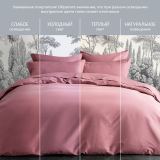 Постельное белье Моноспейс бузина