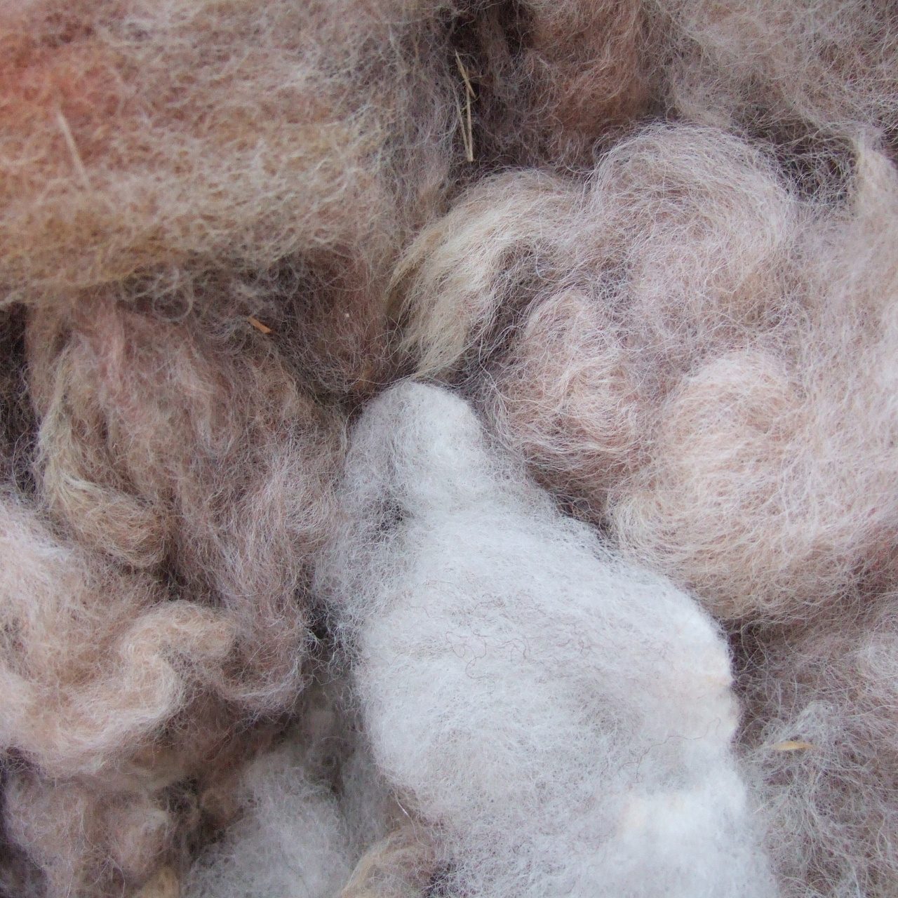 Подушка Караван