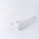 Детское одеяло Лебяжий пух