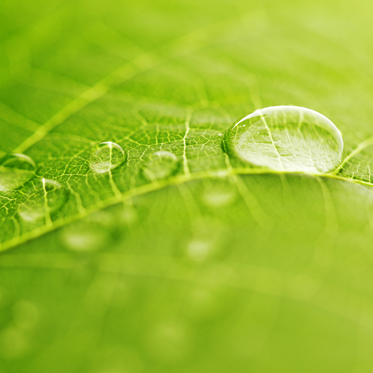 Детская простыня на резинке Аквастоп - Бамбук