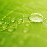 Детская простыня на резинке Аквастоп - Бамбук