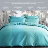 Постельное белье Моноспейс бирюзовый