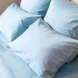 Постельное белье Моноспейс голубой