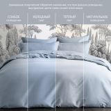 Постельное белье Моноспейс серо-голубой