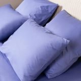 Постельное белье Моноспейс синий