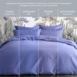Постельное белье Моноспейс синий