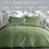 Постельное белье Моноспейс зеленый