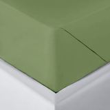 Предмет комплекта Моноспейс зеленый