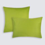 Предмет комплекта Моноспейс салатовый