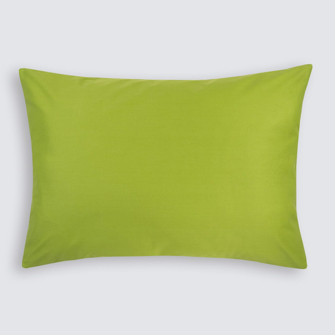 Предмет комплекта Моноспейс салатовый