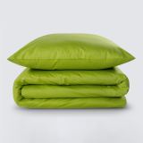 Предмет комплекта Моноспейс салатовый