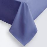 Предмет комплекта Моноспейс синий