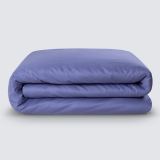 Предмет комплекта Моноспейс синий