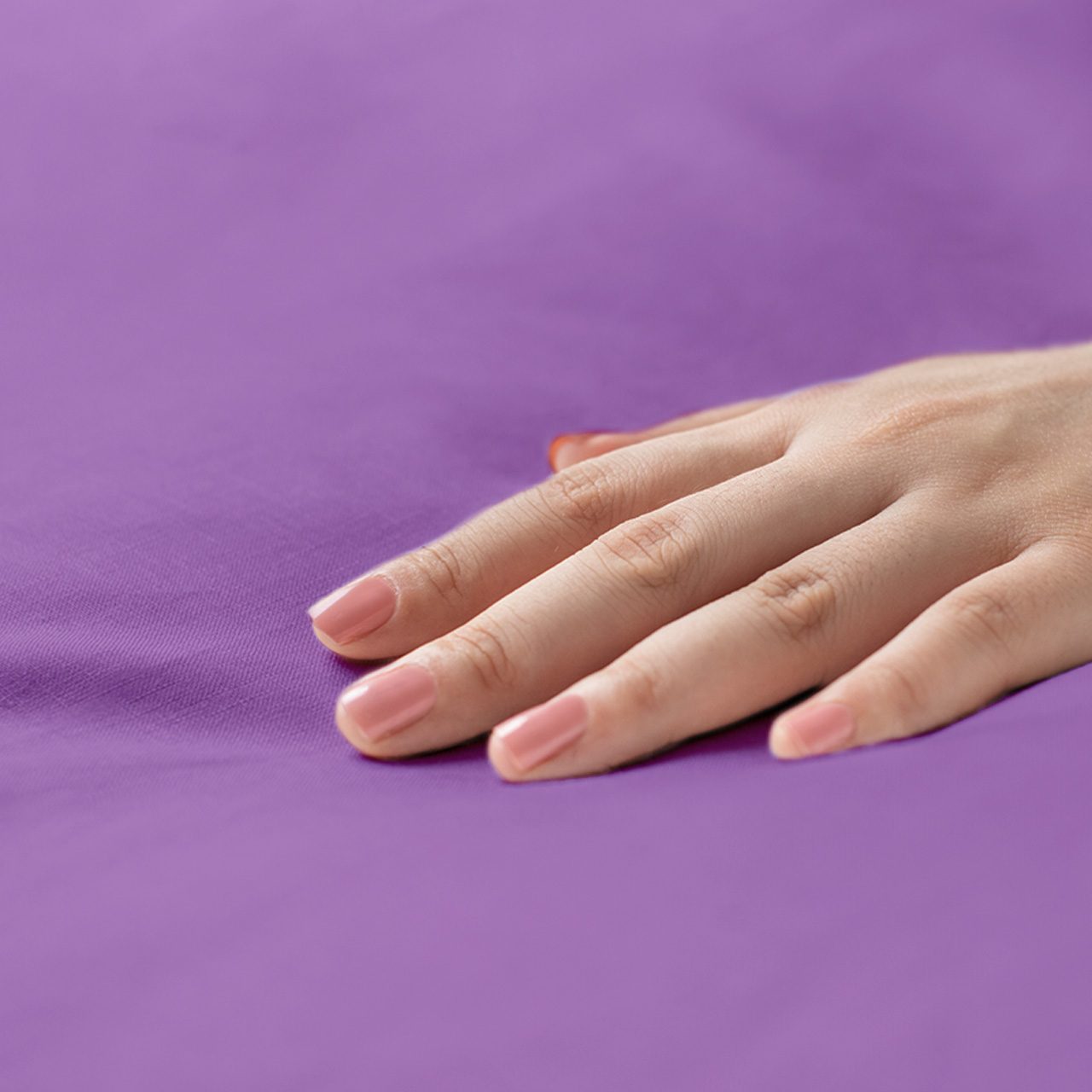 Предмет комплекта Моноспейс фиолетовый